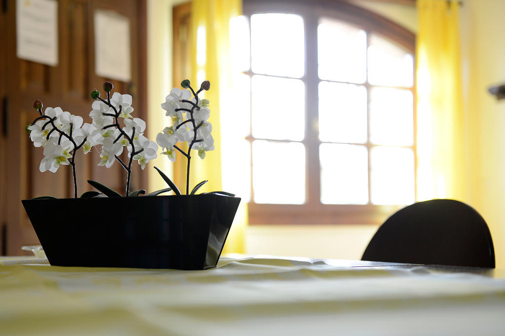 Apartamentos Bellavista Alquézar Rum bild